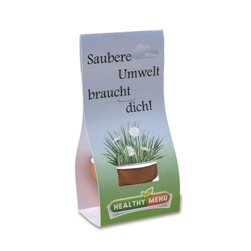 Mini flowerpot with seeds - Image 4